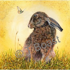 Brown Hare 2