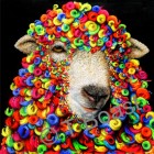 Dyed in the Wool