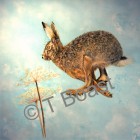 Flyaway Hare